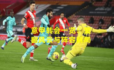 意甲转会一览：夏窗风云与阵容新局