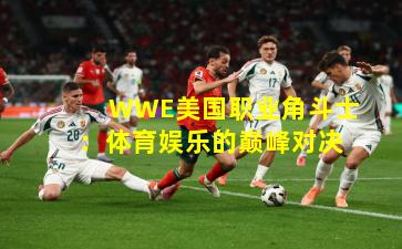 WWE美国职业角斗士：体育娱乐的巅峰对决